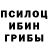 Галлюциногенные грибы MAGIC MUSHROOMS Calsey Grammer