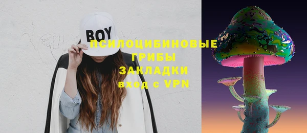 ПСИЛОЦИБИНОВЫЕ ГРИБЫ Алзамай