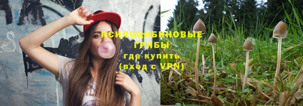 PSILOCYBIN Абаза