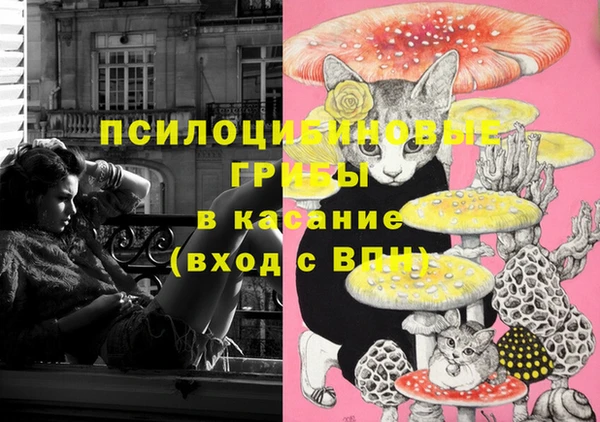 PSILOCYBIN Абаза